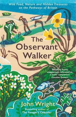 The Observant Walker: Wild Food, Nature and Hidden Treasures on the Pathways of Britain - Wright, John