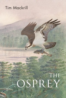 The Osprey - Mackrill, Tim