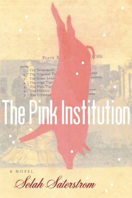 The Pink Institution - Saterstrom, Selah