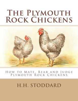 The Plymouth Rock Chickens: How to Mate, Rear and Judge Plymouth Rock Chickens - Stoddard, H H, and Chambers, Jackson (Introduction by)