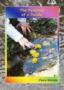 The Potential of a Puddle