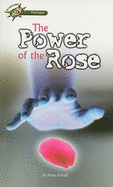 The Power of the Rose