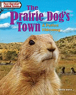 The Prairie Dog's Town: A Perfect Hideaway