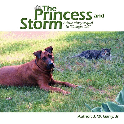 The Princess and Storm - Garry, J W, Jr.