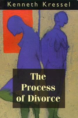 The Process of Divorce: Helping Couples Negotiate Settlements - Kressel, Kenneth