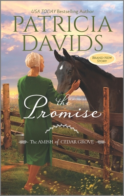 The Promise: A Clean & Wholesome Romance - Davids, Patricia
