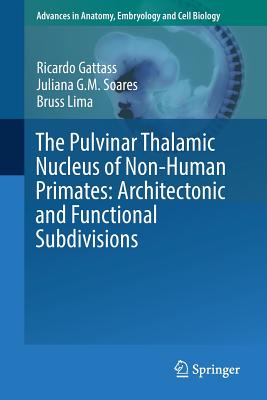 The Pulvinar Thalamic Nucleus of Non-Human Primates: Architectonic and Functional Subdivisions - Gattass, Ricardo, and Soares, Juliana G M, and Lima, Bruss