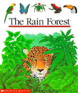 The Rain Forest