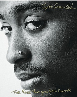The Rose That Grew from Concrete - Shakur, Tupac