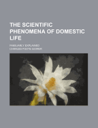 The Scientific Phenomena of Domestic Life: Familiarly Explained