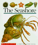 The Seashore - Scholastic Books, and Jeunesse, Gallimard, and Cohat, Elisabeth (Editor)