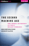 The Second Machine Age: Work, Progress, and Prosperity in a Time of Brilliant Technologies