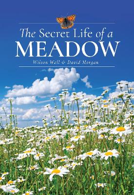 The Secret Life of a Meadow - Wall, Wilson, and Morgan, David