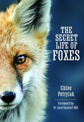 The Secret Life of Foxes - Petrylak, Chloe