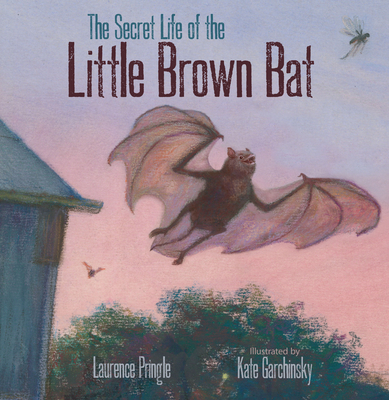 The Secret Life of the Little Brown Bat - Pringle, Laurence