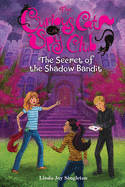 The Secret of the Shadow Bandit: 4