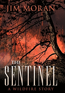 The Sentinel: A Wildfire Story