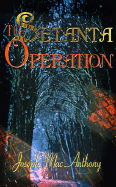 The Setanta Operation