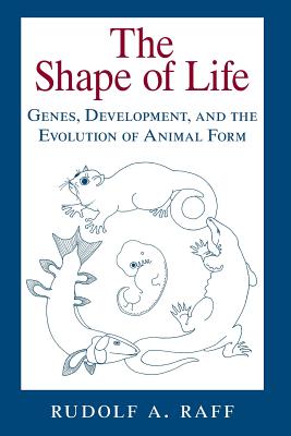 The Shape of Life: Genes, Development, and the Evolution of Animal Form - Raff, Rudolf A