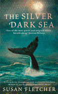 The Silver Dark Sea