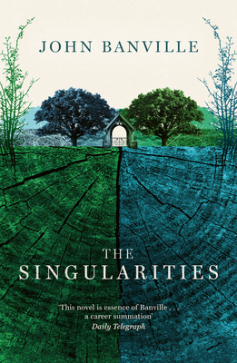 The Singularities - Banville, John