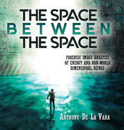 The Space Between the Space: Forensic image analysis of energy and non-World dimensional beings