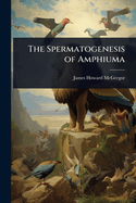 The Spermatogenesis of Amphiuma