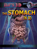 The Stomach in 3D