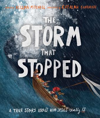 The Storm That Stopped Storybook: A True Story about Who Jesus Really Is - Mitchell, Alison