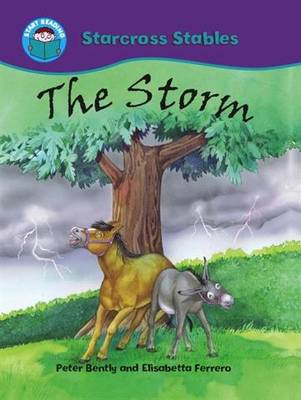 The Storm - Bently, Peter