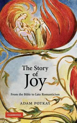The Story of Joy - Potkay, Adam