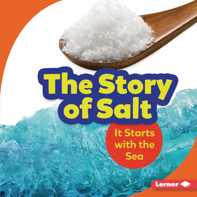 The Story of Salt: It Starts with the Sea - Owings, Lisa