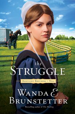 The Struggle: Volume 3 - Brunstetter, Wanda E