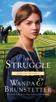The Struggle: Volume 3 - Brunstetter, Wanda E