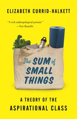The Sum of Small Things: A Theory of the Aspirational Class - Currid-Halkett, Elizabeth