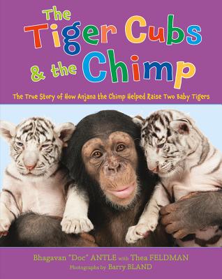 The Tiger Cubs and the Chimp: The True Story of How Anjana the Chimp Helped Raise Two Baby Tigers - Feldman, Thea (As Told by), and Bland, Barry (Photographer)
