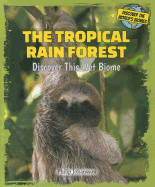 The Tropical Rain Forest: Discover This Wet Biome