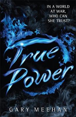 The True Trilogy: True Power: Book 2 - Meehan, Gary