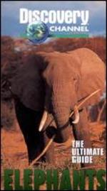The Ultimate Guide: Elephants