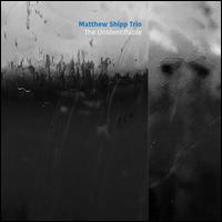 The Unidentifiable - Matthew Shipp Trio