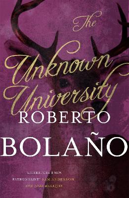 The Unknown University - Bolao, Roberto, and Healy, Laura (Translated by)