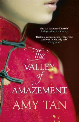 The Valley of Amazement - Tan, Amy