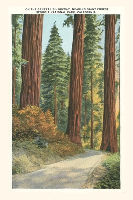 The Vintage Journal Sequoia National Park - Found Image Press (Producer)