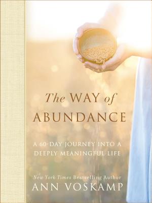 The Way of Abundance: A 60-Day Journey Into a Deeply Meaningful Life - Voskamp, Ann