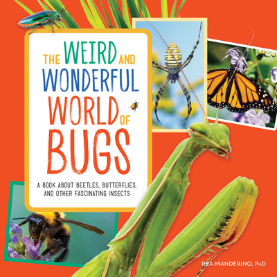 The Weird and Wonderful World of Bugs: A Book about Beetles, Butterflies, and Other Fascinating Insects - Manderino, Rea