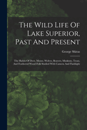 The Wild Life Of Lake Superior, Past And Present: The Habits Of Deer, Moose, Wolves, Beavers, Muskrats, Trout, And Feathered Wood-folk Studied With Camera And Flashlight