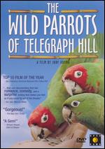 The Wild Parrots of Telegraph Hill - Judy Irving