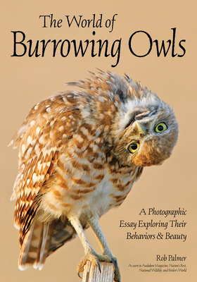 The World of Burrowing Owls: A Photographic Essay Exploring Their Behaviors & Beauty - Palmer, Rob