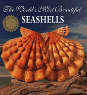 The World's Most Beautiful Seashells