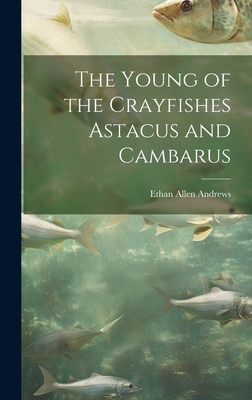 The Young of the Crayfishes Astacus and Cambarus - Andrews, Ethan Allen